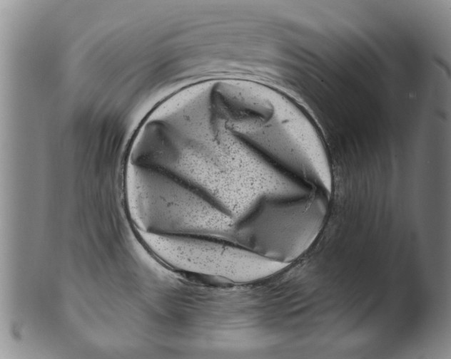 X0000100391531200806271346