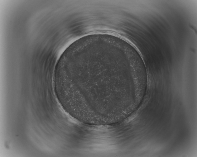 X0000100391533200806271346