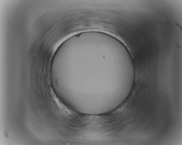 X0000100391534200806271346