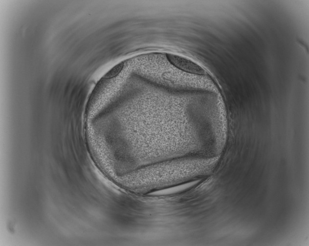 X0000100391535200806271346