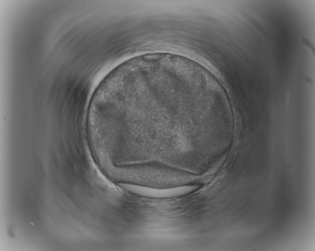 X0000100391536200806271346