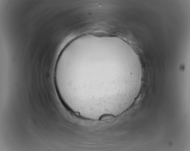 X0000100390003200807032001