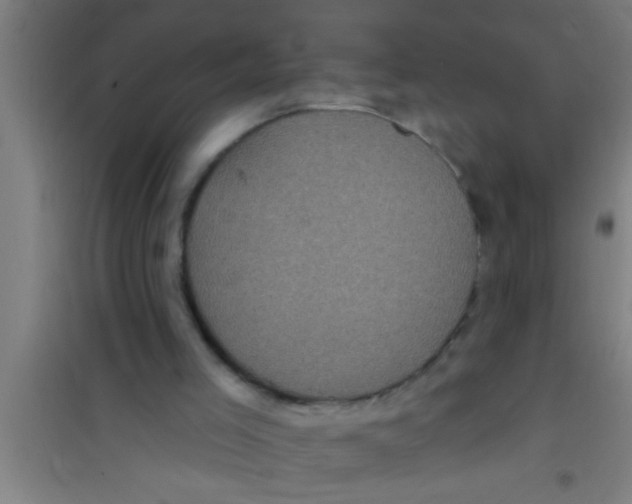 X0000100390005200807032001