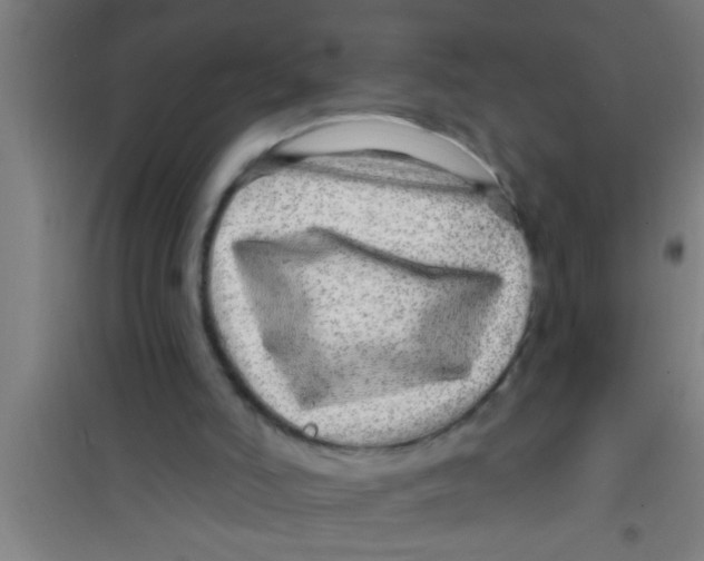 X0000100390006200807032001