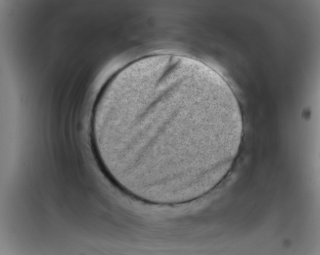 X0000100390007200807032001