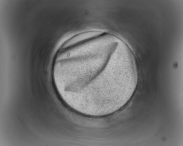 X0000100390008200807032001