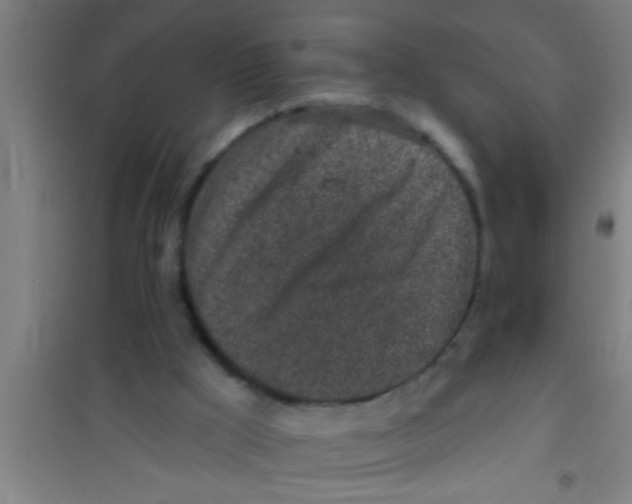 X0000100390009200807032001