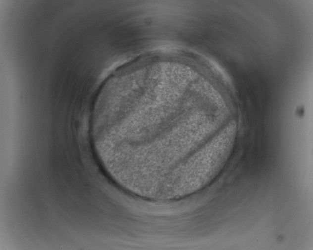 X0000100390010200807032000