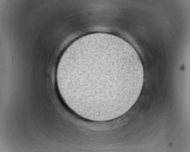 X0000100390011200807032000