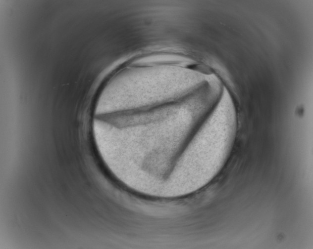 X0000100390012200807032000