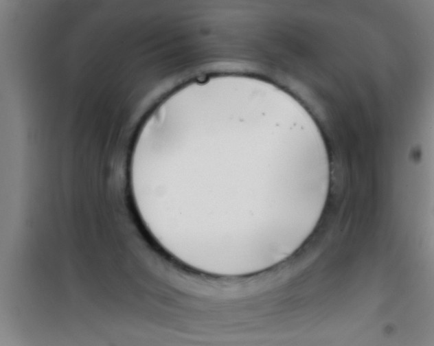 X0000100390015200807032000