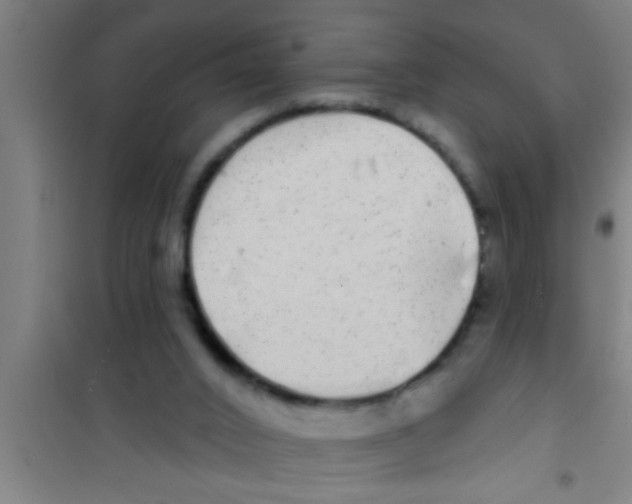 X0000100390016200807032000