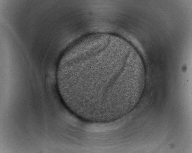 X0000100390017200807032000