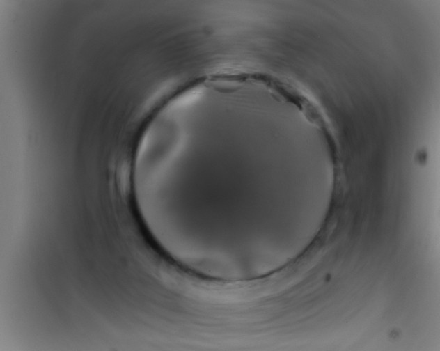 X0000100390019200807032000