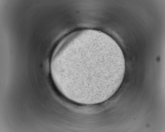 X0000100390020200807032000