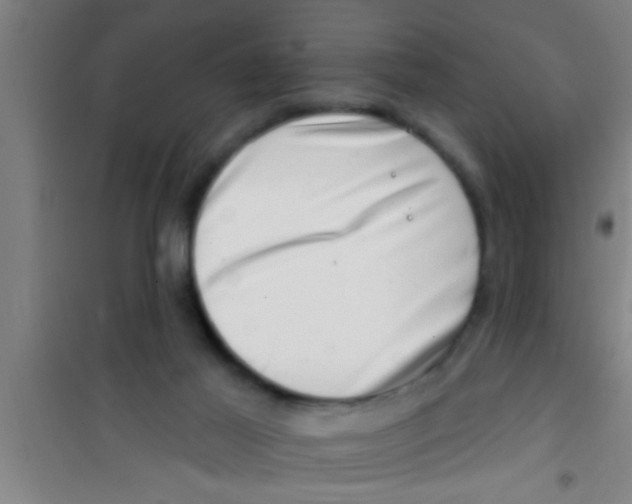 X0000100390021200807032000