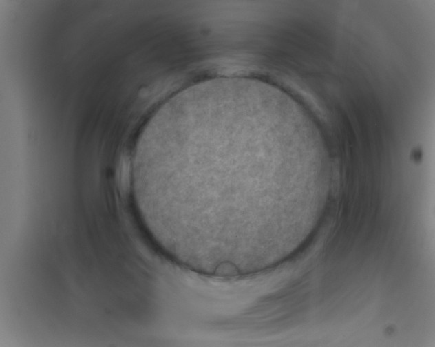 X0000100390022200807032000