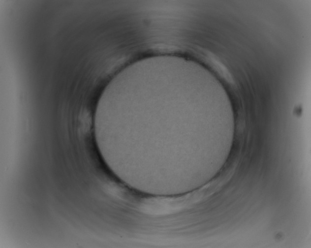 X0000100390025200807032000