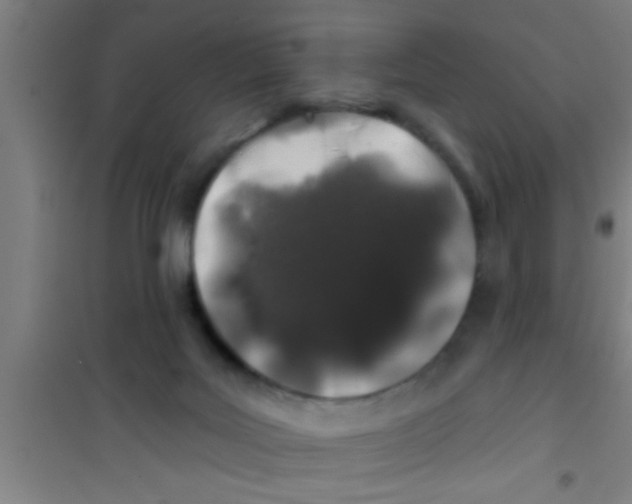 X0000100390027200807032000