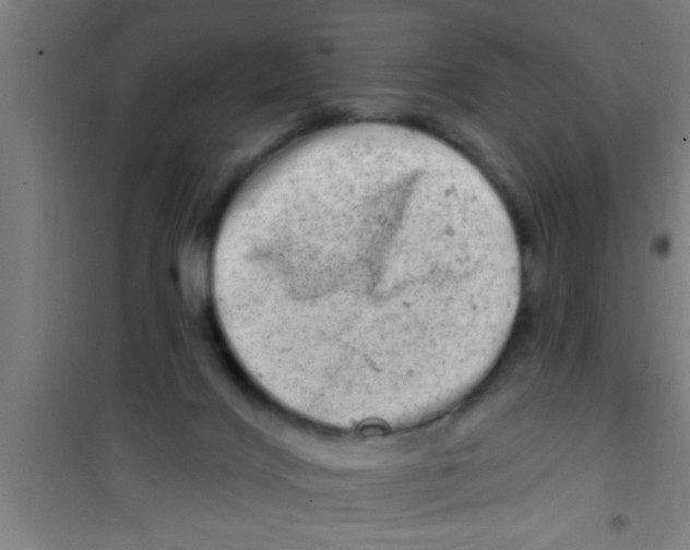 X0000100390028200807032000