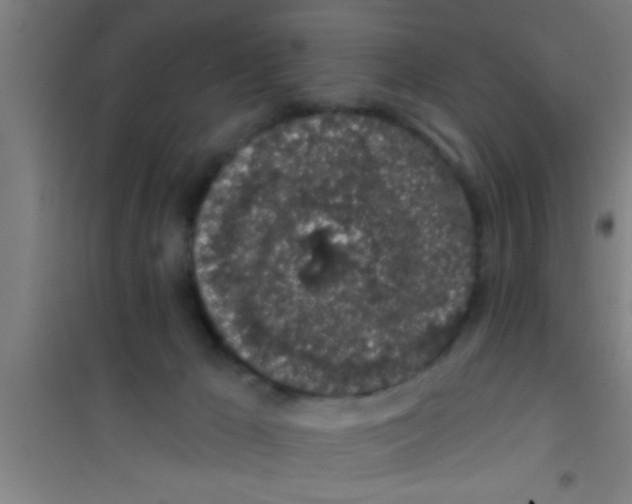 X0000100390029200807032000