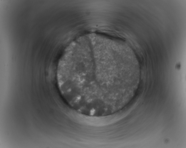 X0000100390030200807032000