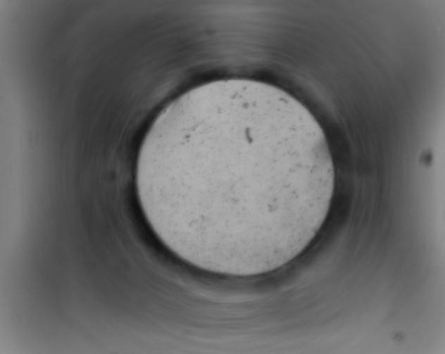 X0000100390032200807032000