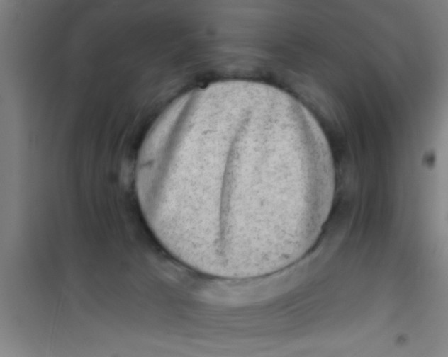 X0000100390033200807032000