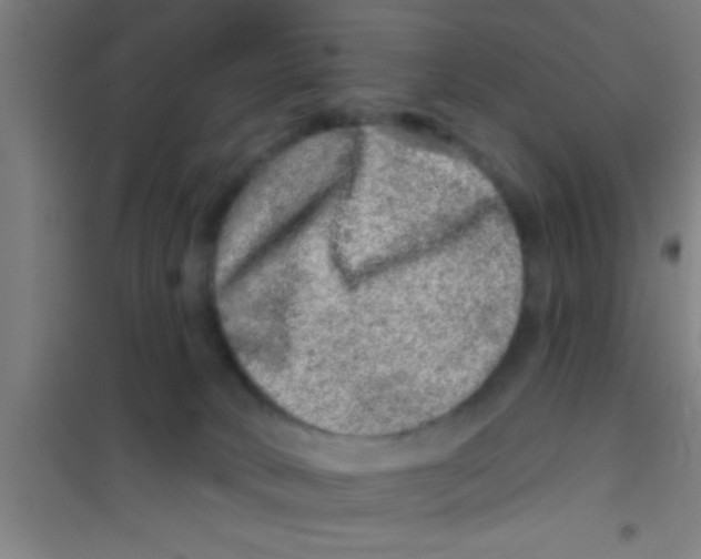 X0000100390034200807032000