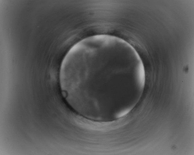 X0000100390035200807032000