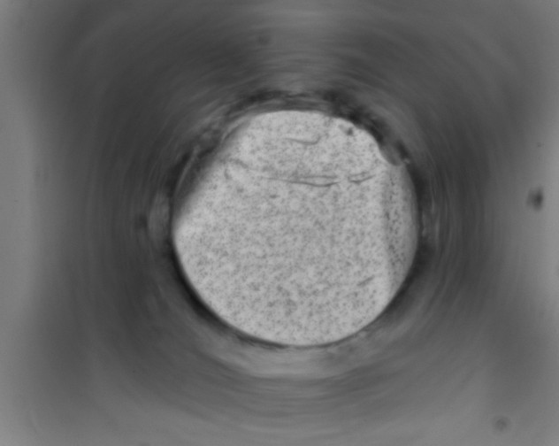 X0000100390036200807032000