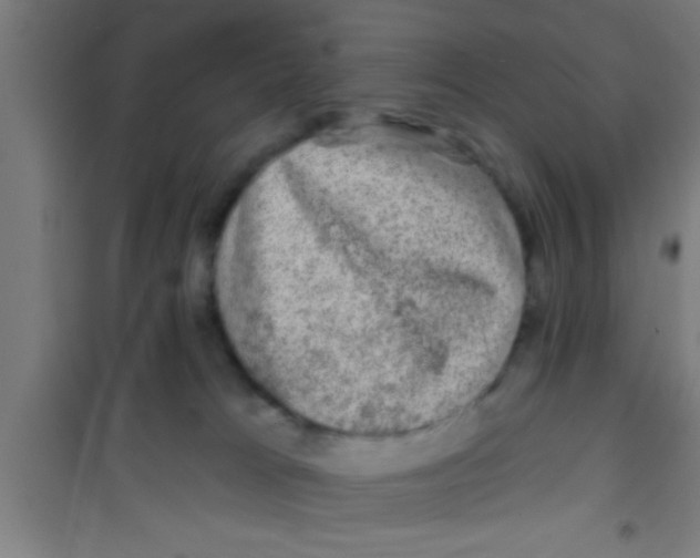 X0000100390037200807032000