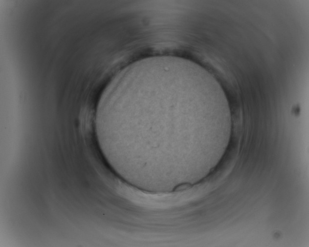 X0000100390038200807032000