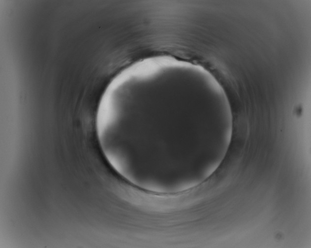 X0000100390039200807032000