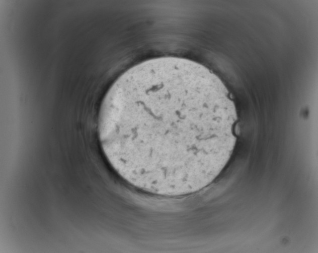 X0000100390040200807032000