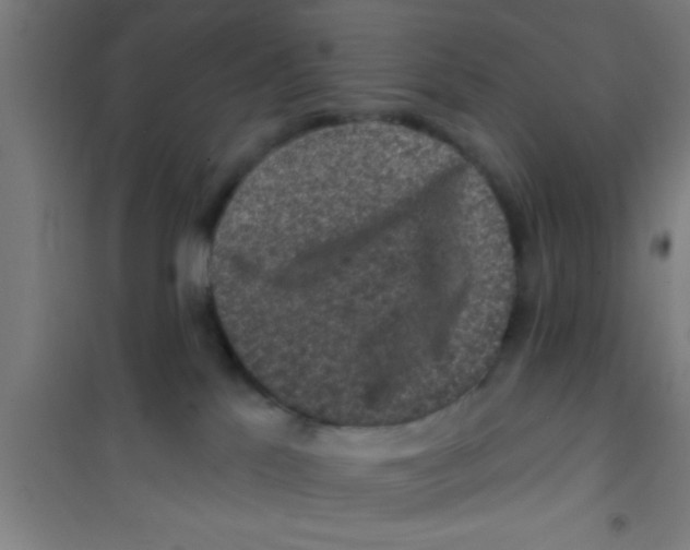 X0000100390041200807032000