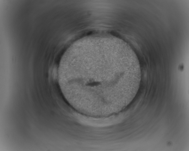 X0000100390042200807032000