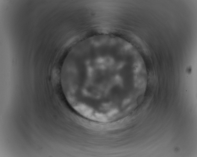 X0000100390043200807032000