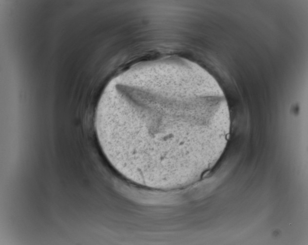 X0000100390044200807032000