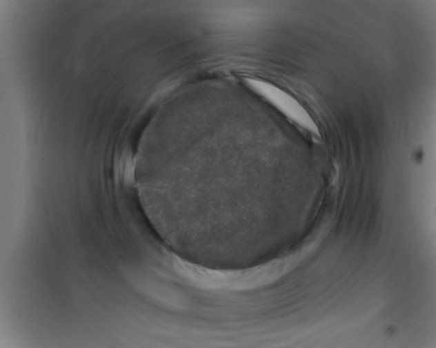 X0000100390046200807032000