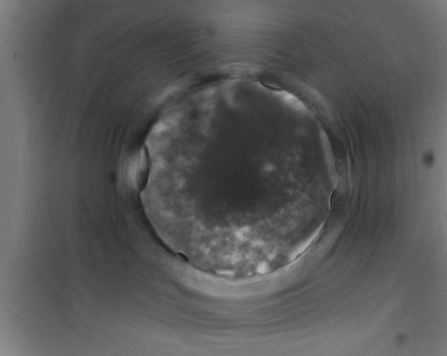 X0000100390047200807032000