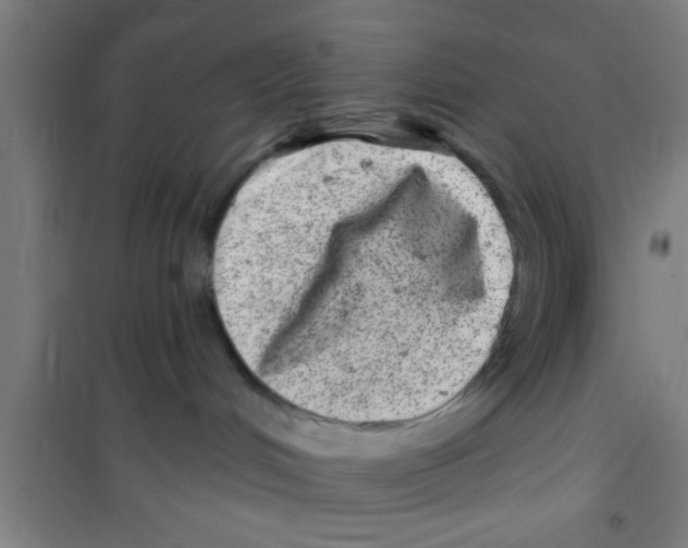 X0000100390048200807032000