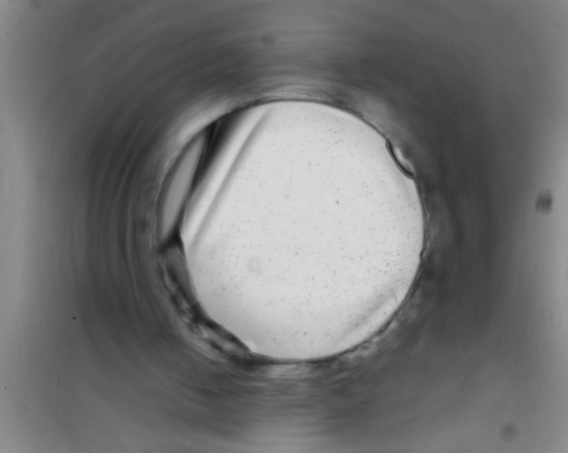 X0000100390050200807031959