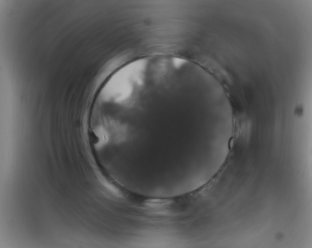 X0000100390051200807031959