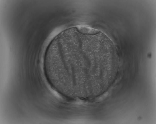 X0000100390055200807031959