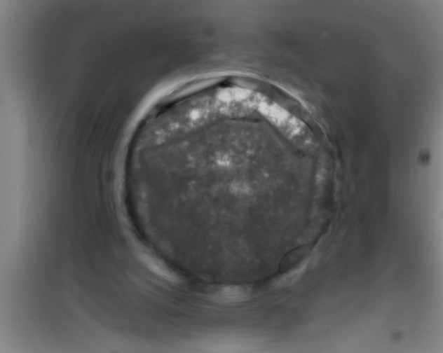 X0000100390056200807031959