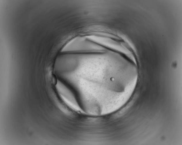 X0000100390057200807031959