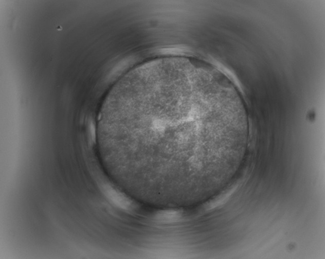 X0000100390061200807031959