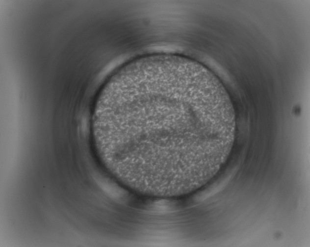 X0000100390064200807031959