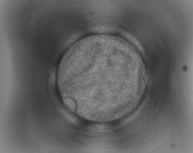 X0000100390065200807031959